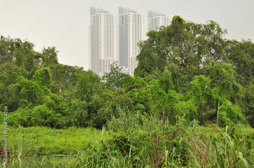 Fototapeta premium Towering skyscrapers peek through lush greenery in a vibrant urban nature blend