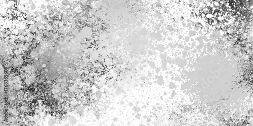 Abstract silver leaf texture high resolution, light gray seamless backdrop with gentle gradient texture, Soft white powder clean nature panoramic view Ideal for seasonal Design.