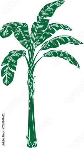 Stylized Green Banana Tree Illustration with Large Leaves and Textured Trunk Tropical Plant Vector Art.