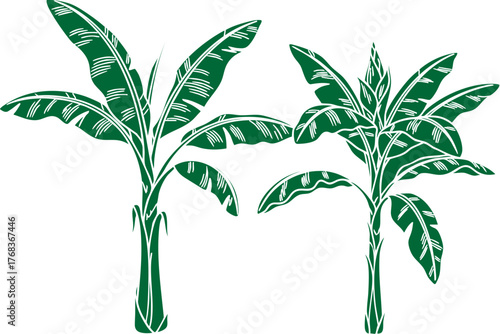 Stylized Green Banana Plants Illustration with Detailed Leaves.