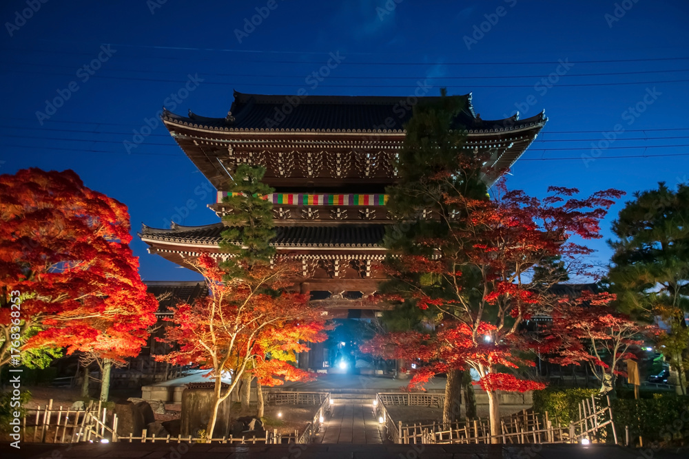 Fototapeta premium autumn maple tree light up by Kurodani sanmon gate at dusk, Kyoto