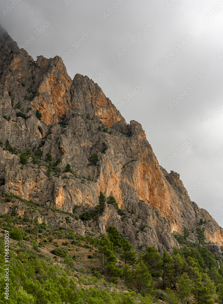 Fototapeta premium Steep rocky cliffs of Puig Campana rise above lush green forest under a dramatic cloudy sky in Spain, perfect for nature, travel, adventure, and landscape themes.