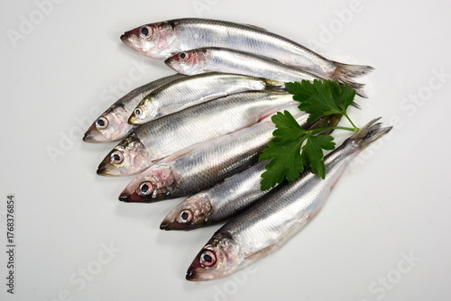 lots of Fresh whole Baltic herring Clupea harengus membras with green leaves on white background
