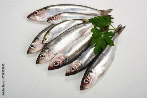 lots of Fresh whole Baltic herring Clupea harengus membras with green leaves on white background