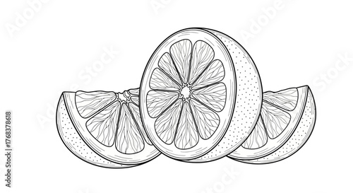 Detailed Citrus Fruit Illustration with Segmented Patterns on White Background