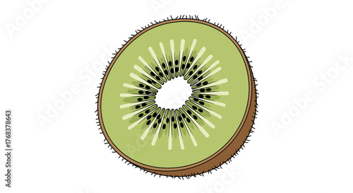 A vibrant illustration of a sliced kiwi fruit showcasing its unique inner details in high quality