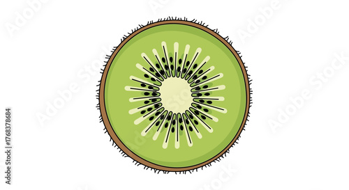 Whimsical kiwi slice illustration displaying detailed seed pattern and textured skin outline