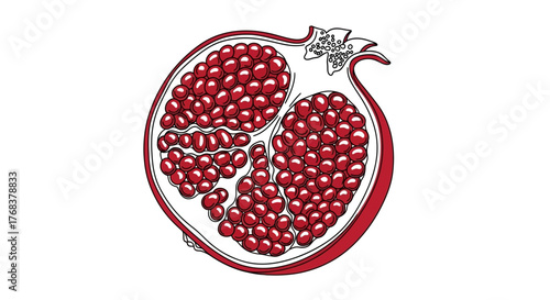 Vibrant pomegranate section showcasing juicy arils and intricate white membrane design illustration