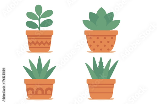 Assortment of popular indoor succulent plants in patterned clay flowerpots