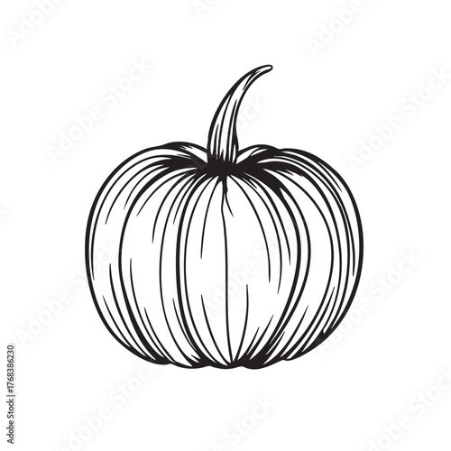 Monochrome line sketch of a plump, round pumpkin with a curved stem.