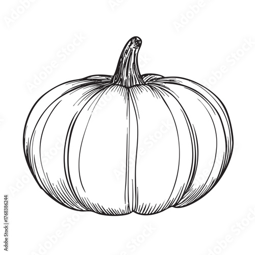 A monochrome hand-drawn sketch of a squat, round pumpkin squash.