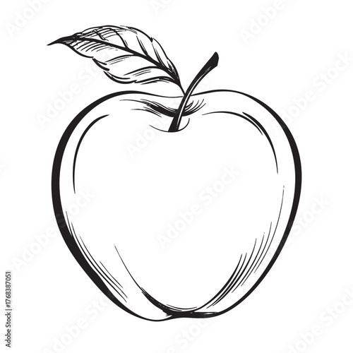 Simple sketch of a whole apple with a leaf on top.