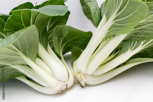 Cuadro en lienzo Fresh green bok choy vegetable ingredients