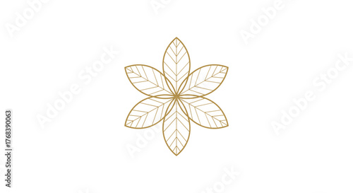 Abstract golden flower or star shape with six delicate petals and vein details.