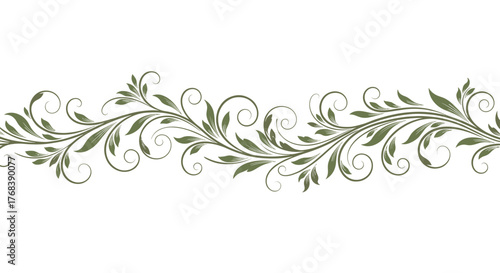 Elegant green floral vine border with swirling leaves and curls on a white background.