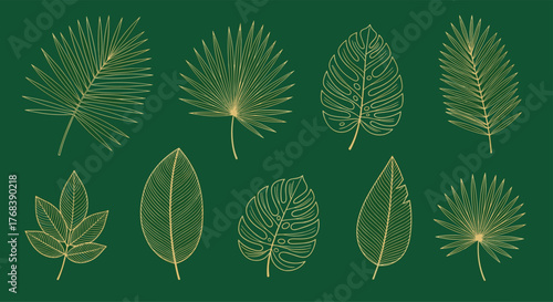 Collection of various tropical palm leaves drawn with gold outlines on a dark green background.