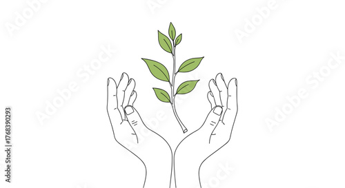 Two cupped hands gently holding a small green plant with leaves reaching upwards.