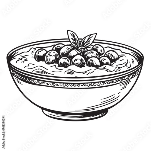 Sketch of a bowl of food topped with berries and leaves.