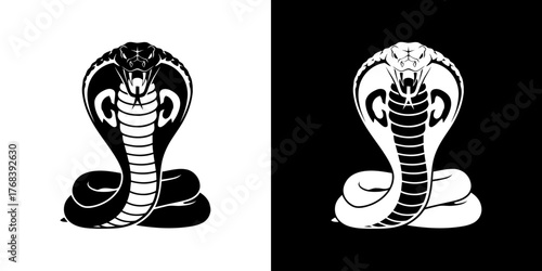 Black and white cobra illustrations on split