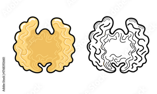 Walnut brain food outline coloring page illustration
