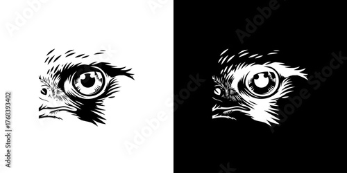 Close-up illustration of an ostrich's eye on