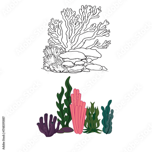 Colorful coral reef and marine life vector illustration