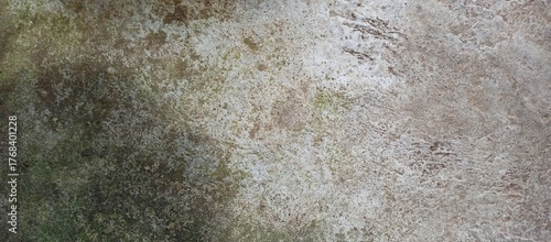 Wallpaper Mural Gritty Earth Toned Concrete Floor or Wall Texture Torontodigital.ca