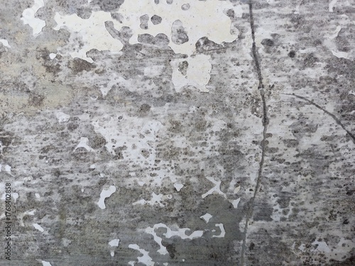 Wallpaper Mural Intense gray grunge texture with peeling white paint and cracks Torontodigital.ca