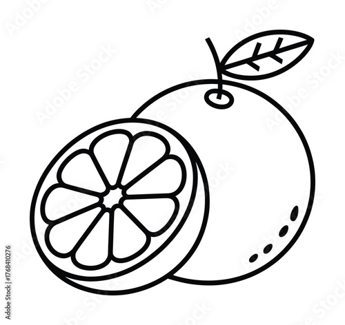 Fresh orange fruit slice outline vector illustration