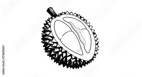 Monochrome vector drawing of a spiky tropical durian fruit, sliced in half to show the inside