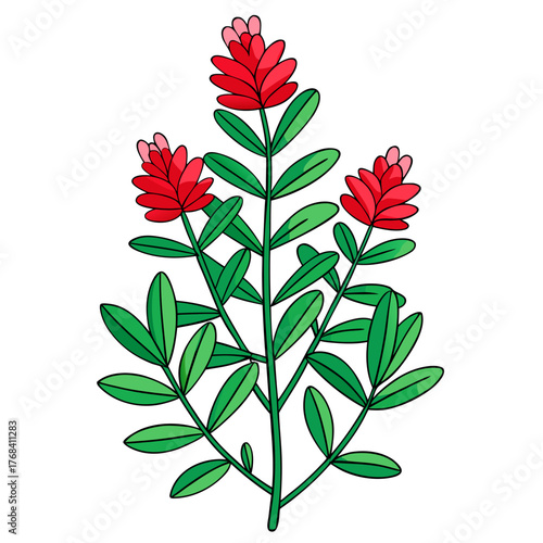  hebe red hugh line art vector on white background