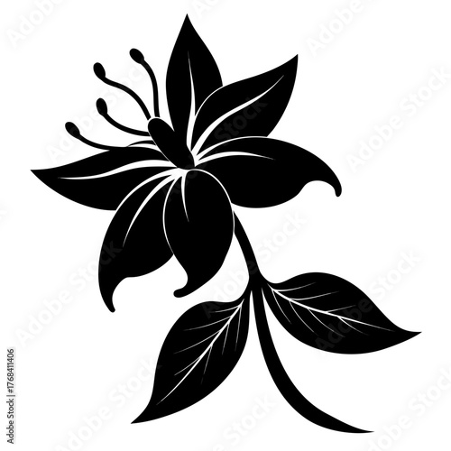 himalayan honeysuckle