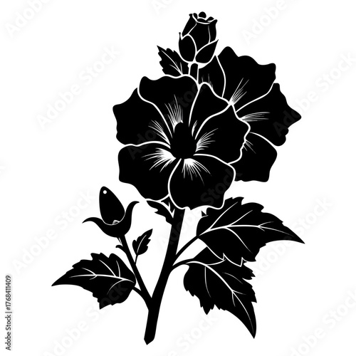 hollyhock black