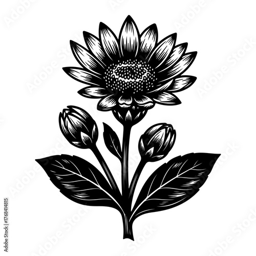 vector illustration of a flower