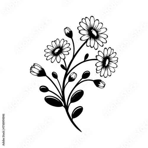 floral background with flowers