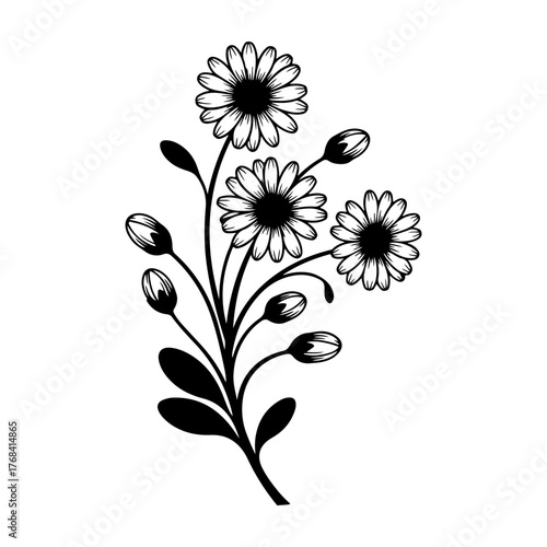 Vector illustration of floral design element
