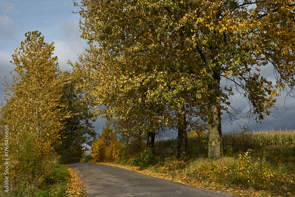 Naklejka premium Autumn landscape of Warmia country road,Poland