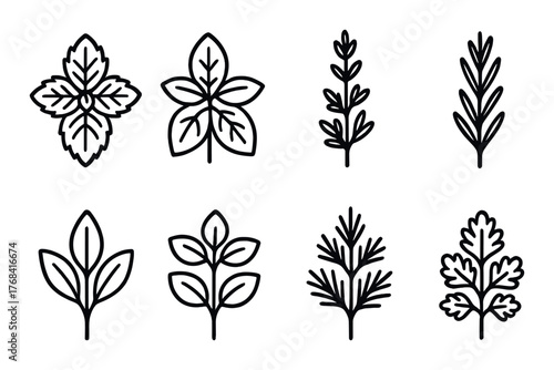 Set of eight stylized herb leaf icons on dark background