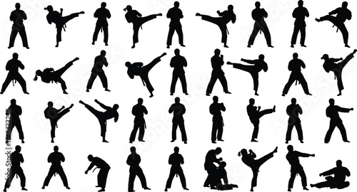 Martial arts silhouette collection, karate kick poses, taekwondo action icons, combat stance graphics, fighter movement set, flat vector illustration
