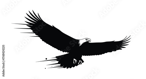 Dramatic silhouette of an eagle soaring with outstretched wings, conveying power, freedom, and a sense of the wild nature.