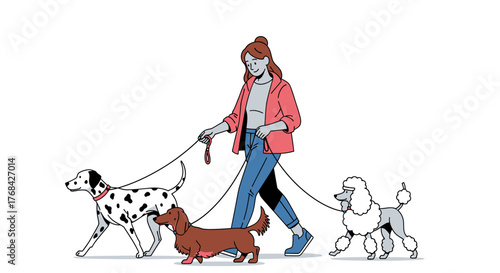 A young woman happily walking a Dalmatian, Dachshund and Poodle in a stylish line art illustration