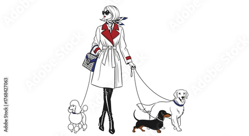 Stylized vector illustration of a fashionable woman walking three dogs in modern attire
