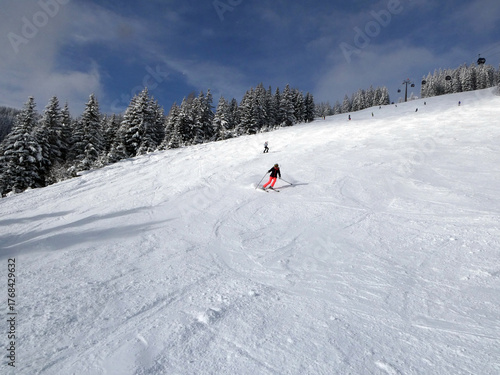 Zachhofalmabfahrt Dienten