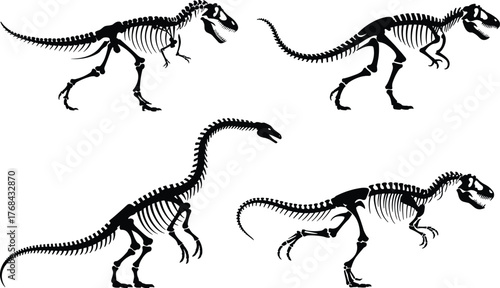 Dinosaur skeleton silhouette, fossil illustration, prehistoric bones, extinct species, paleontology art, black vector, anatomy study, museum graphic, science design, educational resource