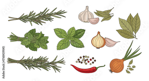 A colorful illustration of fresh herbs, spices, and vegetables arranged on a white background, representing culinary ingredients.