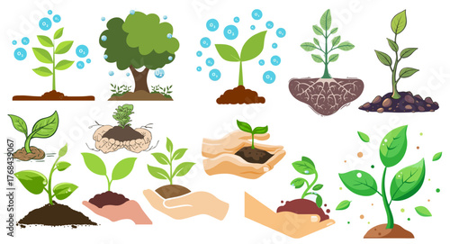 Set of growing plants and hands holding seedlings. Eco-friendly, sustainability, environment, green energy, and nature conservation concept illustration.
