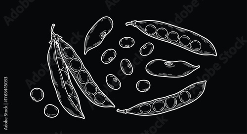Elegant monochrome illustration of peas and beans arranged on a black background, perfect for food-related projects and designs.
