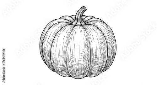 Detailed black and white illustration of a whole pumpkin with a stem and leaves.