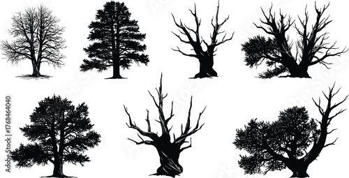 PrintBeautiful black tree silhouettes collection, detailed vector illustration of dry and leafy trees, perfect for nature design, landscape artwork, and backgrounds