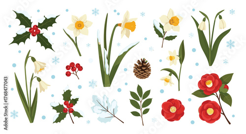 Winter and early spring botanical elements set, featuring festive holly, delicate snowdrops, daffodils, camellias, and snowflakes.